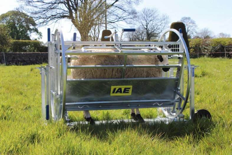IAE Kwik Sheep Turnover Crate