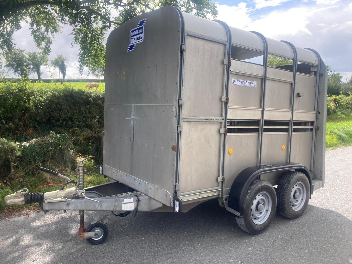 Ifor Williams ‘2 cow’ (8x5)