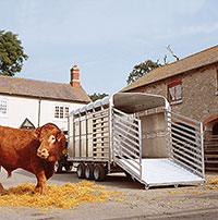 Ifor Williams Livestock Trailers
